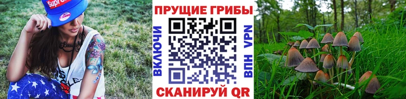 Галлюциногенные грибы MAGIC MUSHROOMS  Мурино 